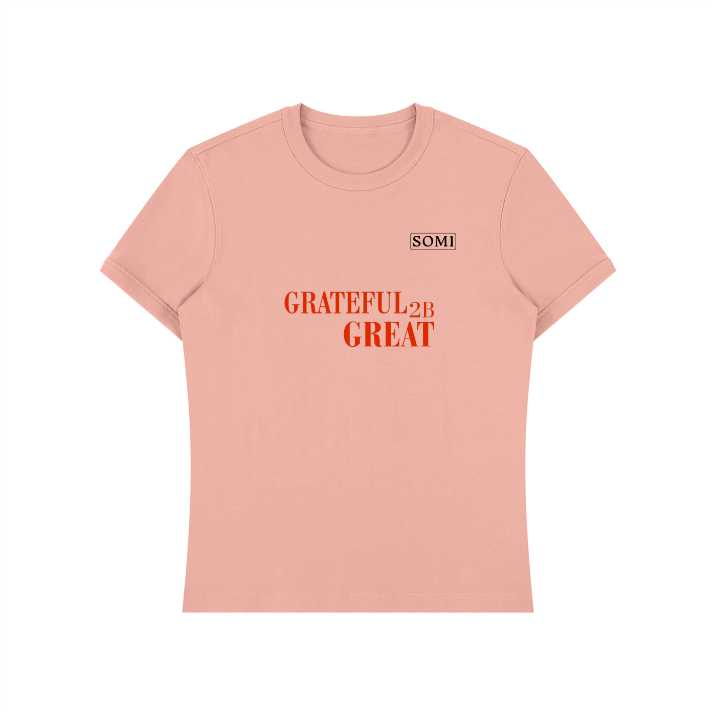 Unisex Heavyweight Slim Fit T-Shirt