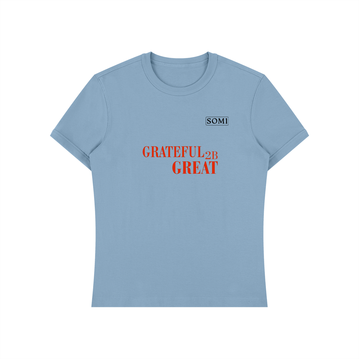 Unisex Heavyweight Slim Fit T-Shirt