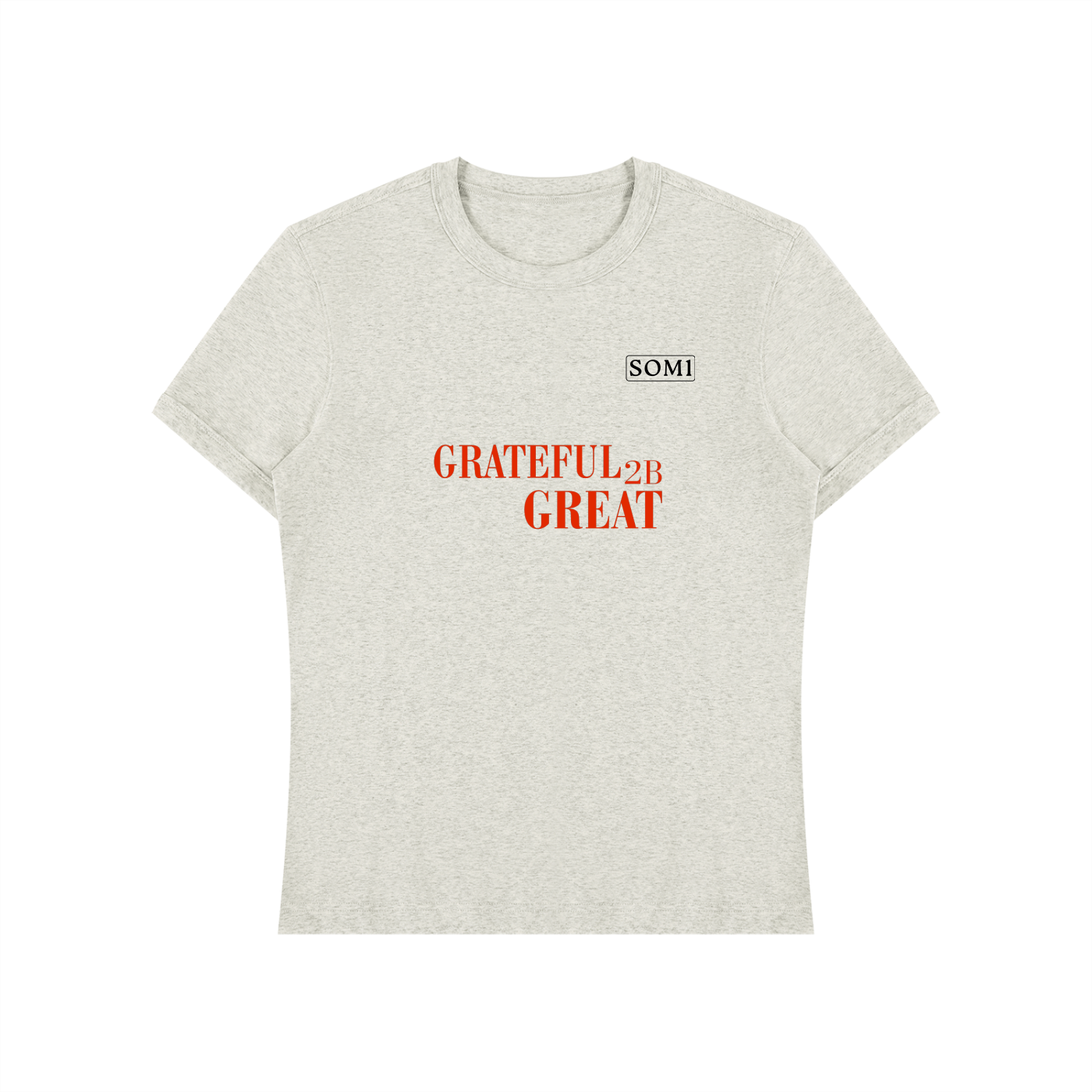 Unisex Heavyweight Slim Fit T-Shirt