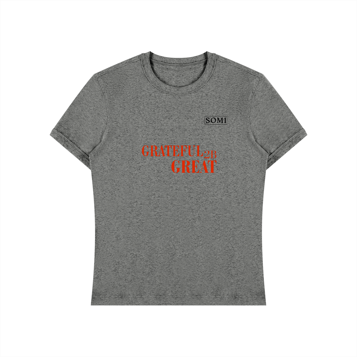 Unisex Heavyweight Slim Fit T-Shirt