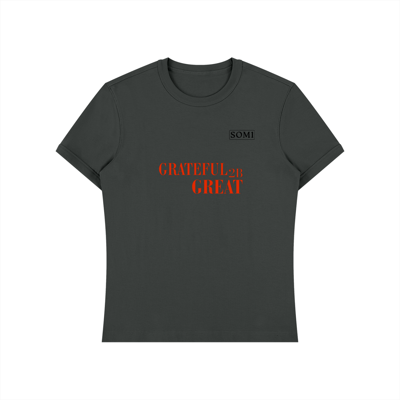 Unisex Heavyweight Slim Fit T-Shirt
