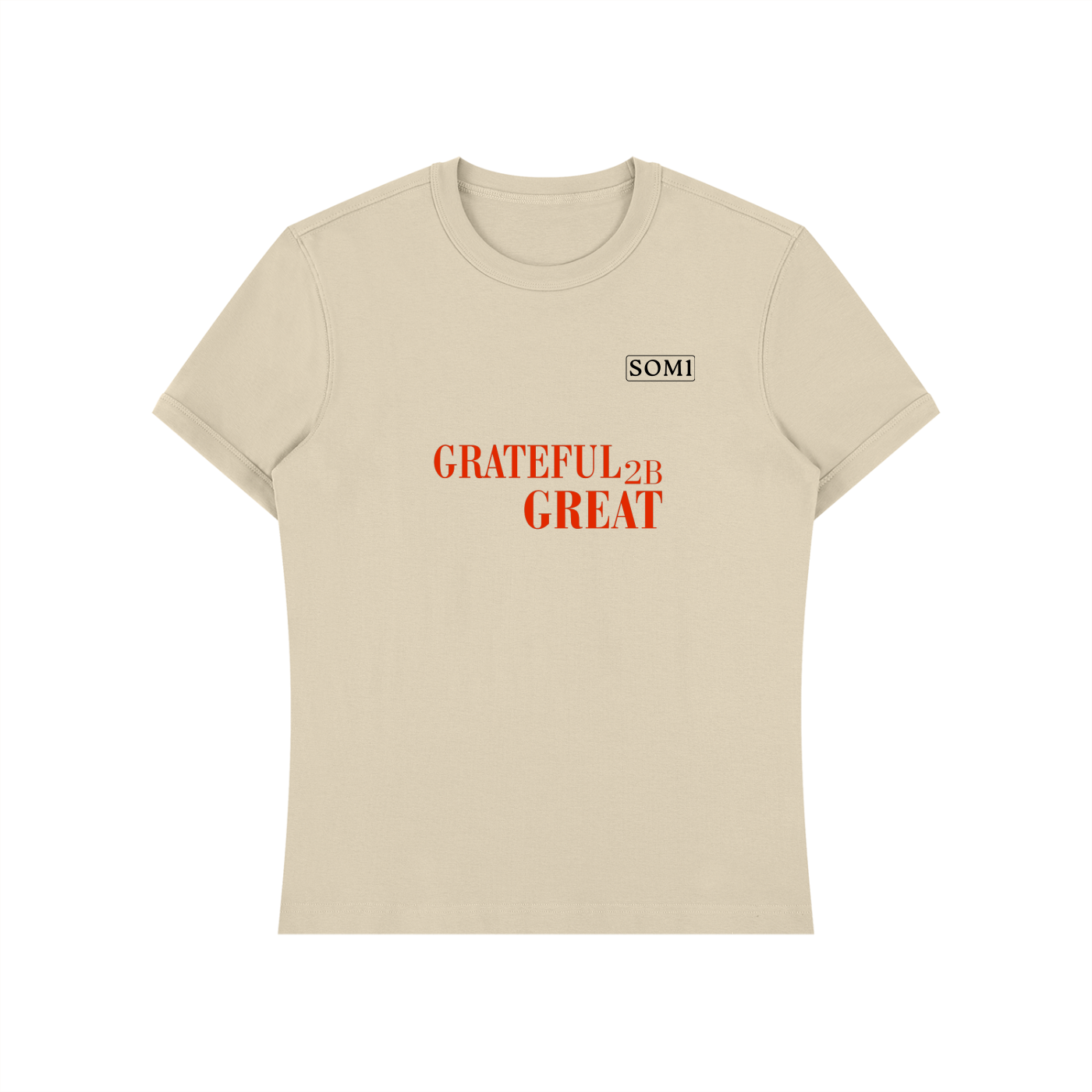 Unisex Heavyweight Slim Fit T-Shirt