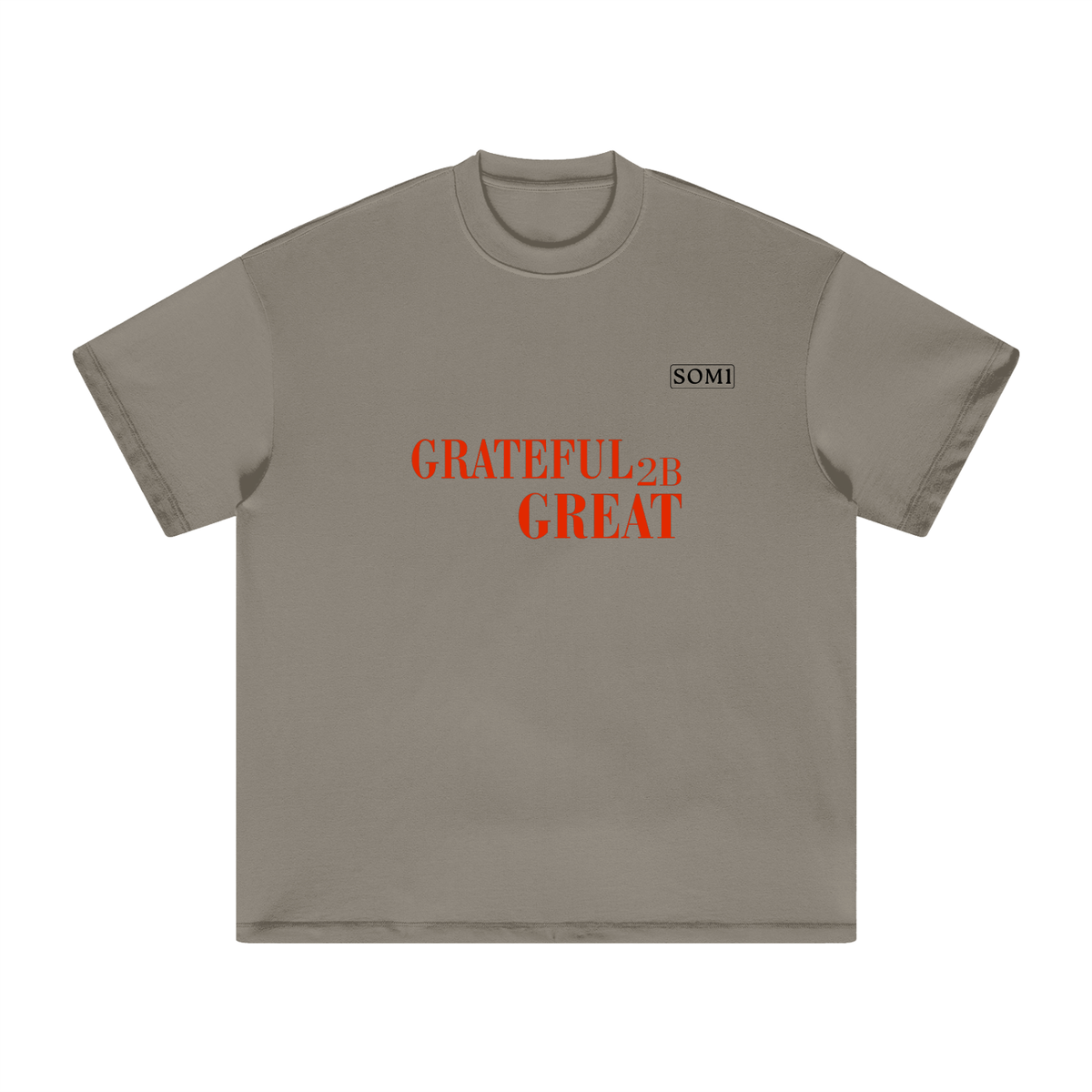 Heavyweight Earth Tone T-Shirt