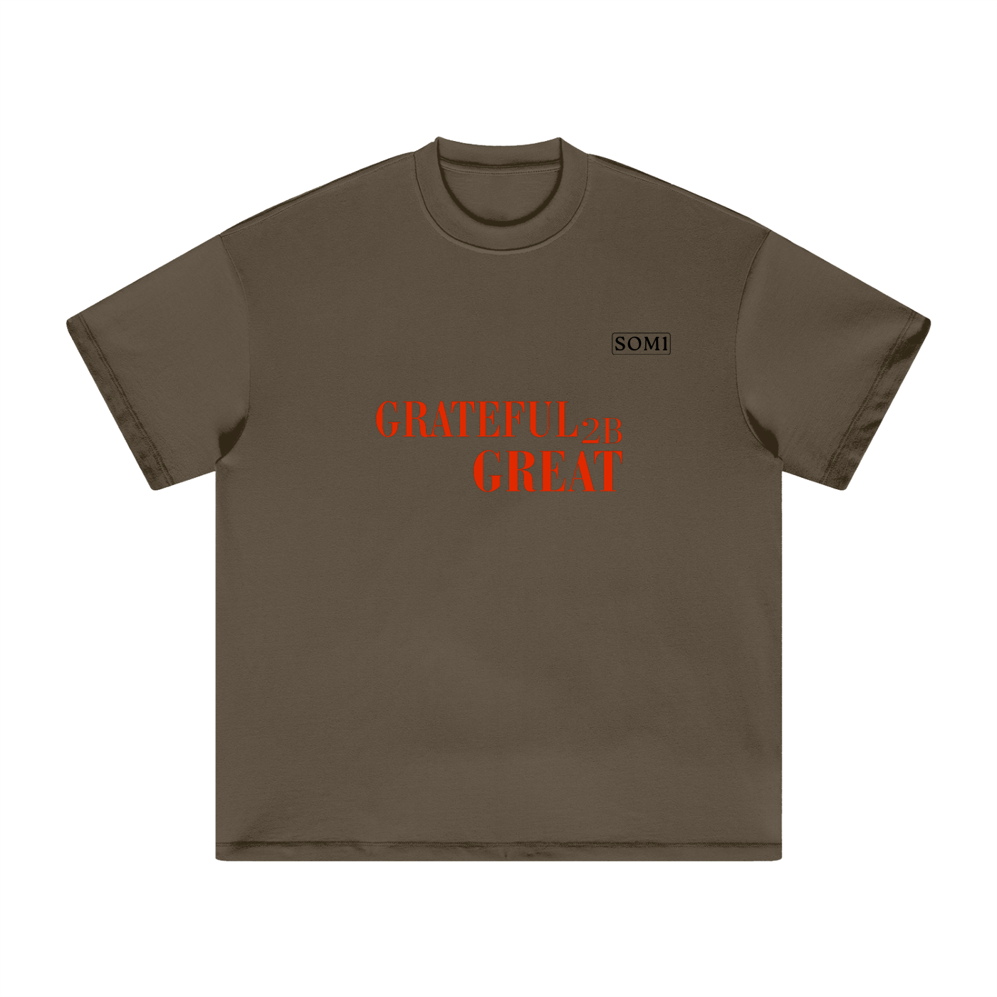 Heavyweight Earth Tone T-Shirt